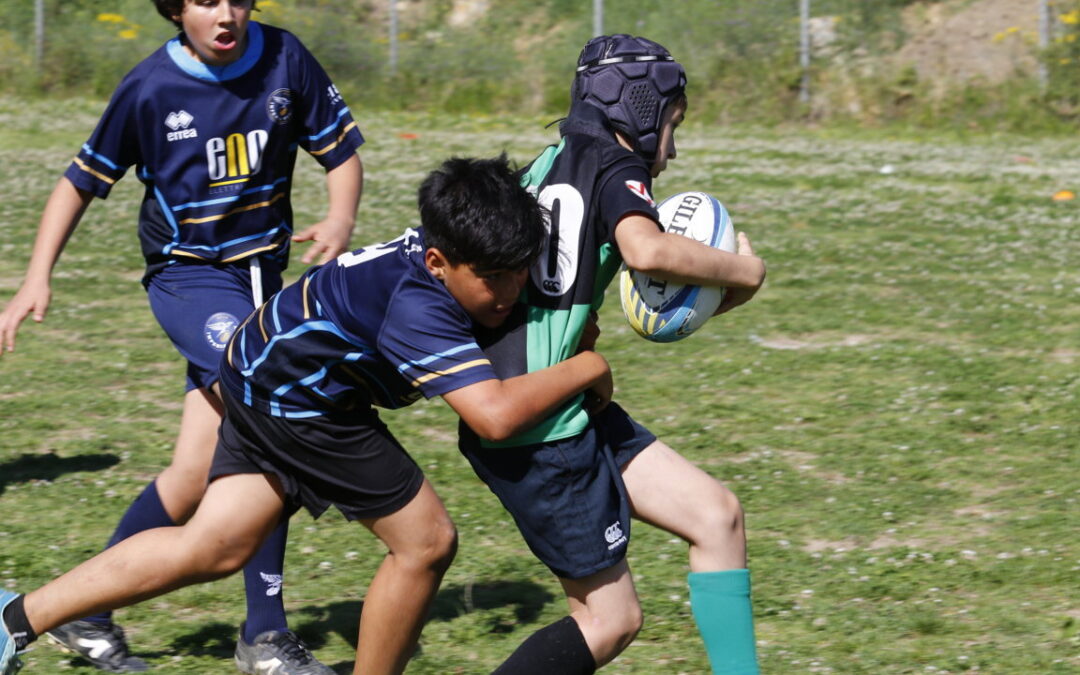 Pino Valle 2024: al campo di rugby di Imperia un decennale di livello internazionale